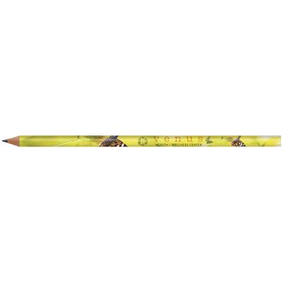 Image of BIC® Evolution Classic Cut End Digital Ecolutions® Pencil